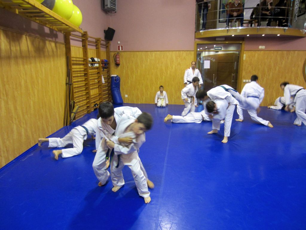 Gimnasio Samurai Judo Escuelas Pias 06